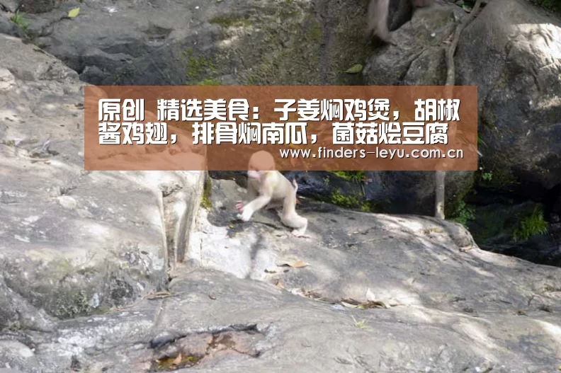 乐鱼中国体育