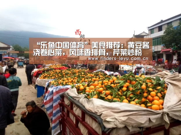 乐鱼网站