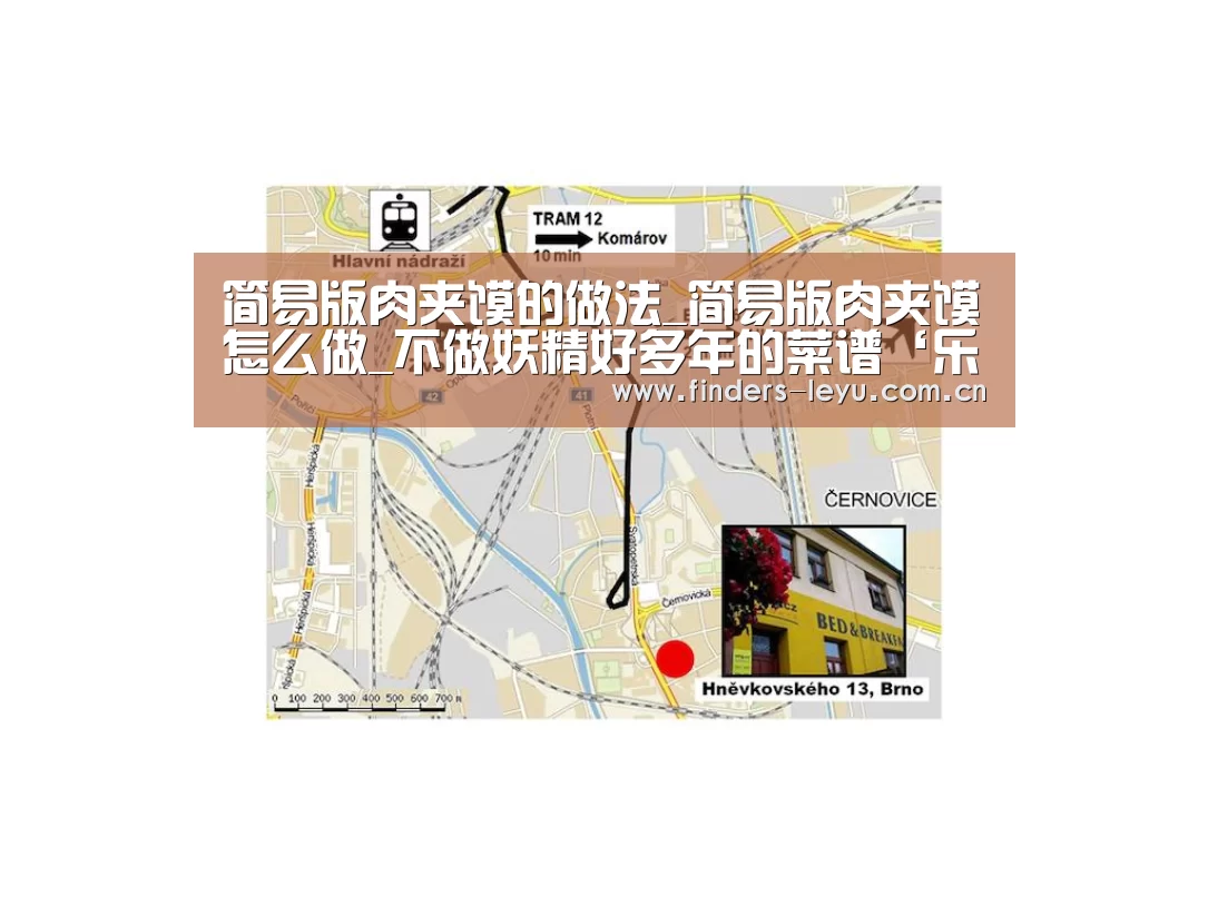 乐鱼LEYU