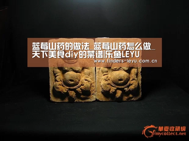 乐鱼网站